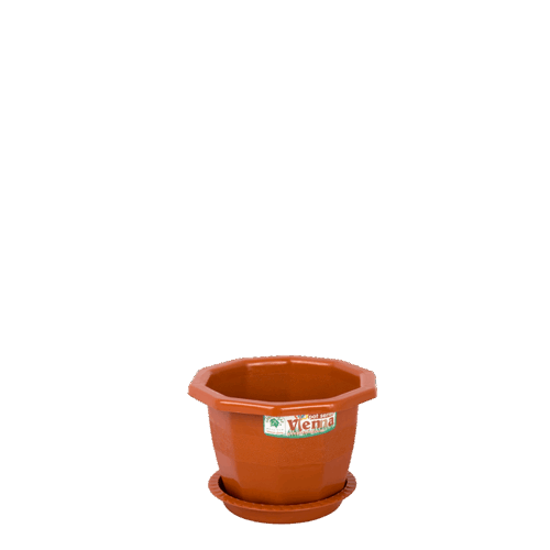 POT LANTAI ANGGREK VIENNA 601