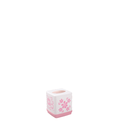 TEMPAT TISSUE SEGI ALANIS 1252