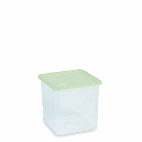 KOTAK MAKAN MULTIGUNA CELIA 2300 ml 7713