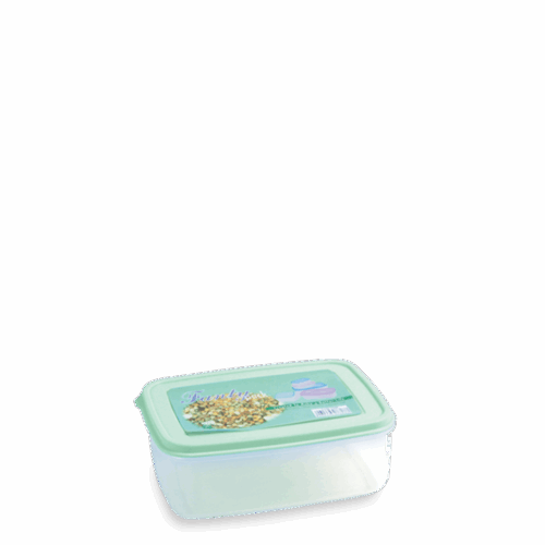 KOTAK ROTI FANCY 1000 ml 7348