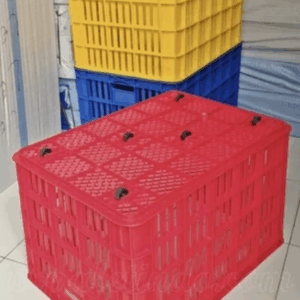 CONTAINER BOX PLASTIK JUMBO RABBIT 7007 | KERANJANG STANDAR INDUSTRI | UKURAN 68 x 49 x 42 cm | WARNA BIRU, MERAH & KUNING | JUAL HARGA GROSIR KE SELURUH INDONESIA