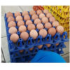 KRAT TELUR AYAM PLASTIK GREEN LEAF EGGIE TIPE 3995