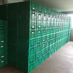 CONTAINER BOX PLASTIK LUBANG INDUSTRI ATARI TIPE 9912 L | HOLES INDUSTRIAL CONTAINER | UKURAN 472 x 356 x 260 mm, VOLUME 43,7 LITER