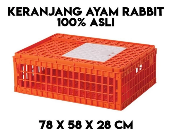 KERANJANG AYAM PLASTIK RABBIT TIPE 9006 | BOX AYAM POTONG | JUAL KE SELURUH INDONESIA