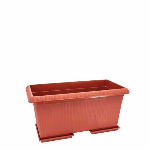 POT BUNGA MARIGOLD 6449