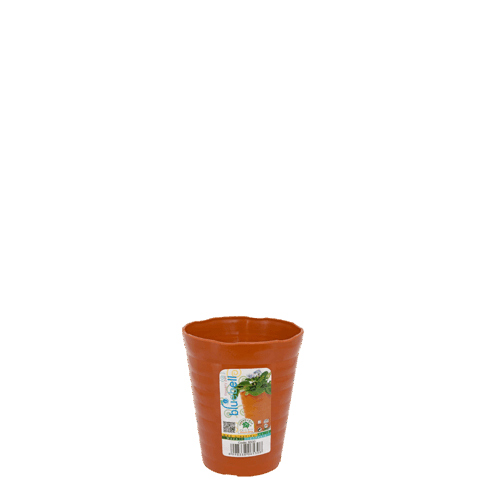 POT BUNGA BIBIT BLUEBELL 6530