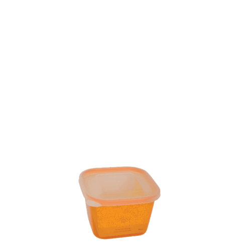 KOTAK MAKANAN FRESH 800 mℓ 7631