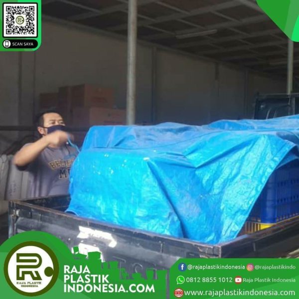 Keranjang Plastik Container Industri Padang Sumatera Barat Raja Plastik Indonesia 2299