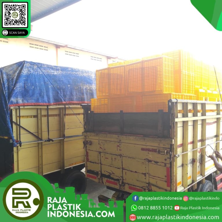 Box Container Plastik untuk Jualan