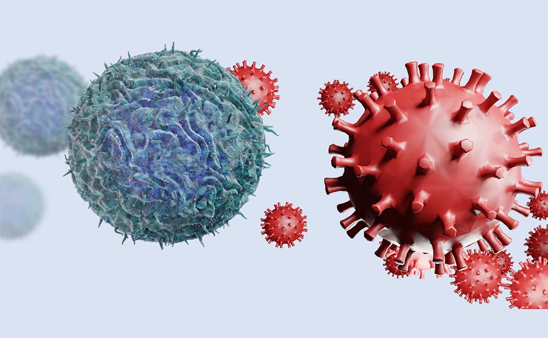 SEL T HELPER ADALAH: Peranan Penting Sel T Helper dalam Sistem Kekebalan Tubuh Manusia