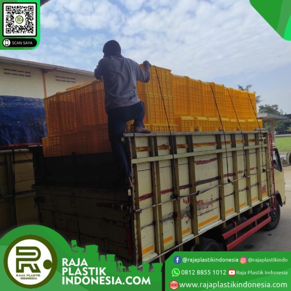 Jual Box Container Plastik Industri / Keranjang Serbaguna Rabbit, Green Leaf & Atari, Kirim ke Ambon, Sofifi, Ternate, Denpasar, Mataram & Kupang