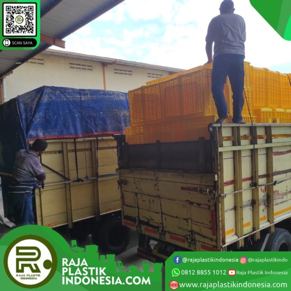 Jual Box Container Plastik Industri / Keranjang Serbaguna Rabbit, Green Leaf & Atari, Kirim ke Ambon, Sofifi, Ternate, Denpasar, Mataram & Kupang