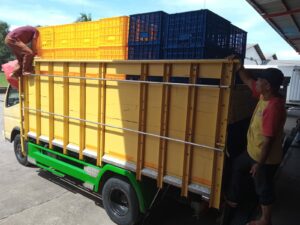 BOX CONTAINER PLASTIK INDUSTRI RABBIT, KIRIM KE JAKARTA UTARA OLEH TIM RAJA PLASTIK INDONESIA