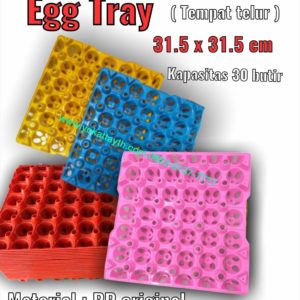 TRAY TELUR PLASTIK YTH